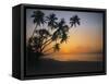 Palm Beach, Sunset-Thonig-Framed Stretched Canvas