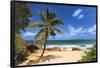 Palm Beach (Tropical Landscape Photo) Art Poster Print-null-Framed Poster