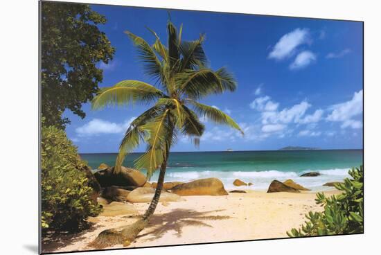 Palm Beach (Tropical Landscape Photo) Art Poster Print-null-Mounted Poster