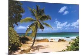 Palm Beach (Tropical Landscape Photo) Art Poster Print-null-Mounted Poster