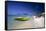 Palm Beach View, Aruba-George Oze-Framed Stretched Canvas