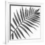 Palm Black and White II-Mia Jensen-Framed Art Print