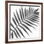 Palm Black and White II-Mia Jensen-Framed Art Print