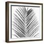 Palm Black and White V-Mia Jensen-Framed Art Print