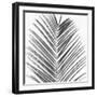 Palm Black and White V-Mia Jensen-Framed Art Print