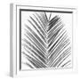 Palm Black and White V-Mia Jensen-Framed Art Print