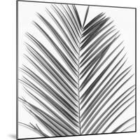 Palm Black and White V-Mia Jensen-Mounted Art Print