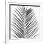 Palm Black and White V-Mia Jensen-Framed Art Print