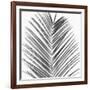 Palm Black and White V-Mia Jensen-Framed Art Print