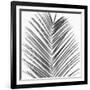 Palm Black and White V-Mia Jensen-Framed Art Print