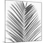 Palm Black and White V-Mia Jensen-Mounted Art Print