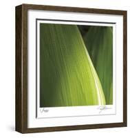 Palm Blades-Ken Bremer-Framed Limited Edition