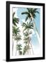 Palm Boulevard-Mike Toy-Framed Giclee Print