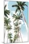 Palm Boulevard-Mike Toy-Mounted Giclee Print