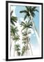 Palm Boulevard-Mike Toy-Framed Giclee Print