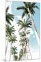 Palm Boulevard-Mike Toy-Mounted Giclee Print