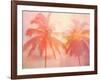 Palm Breeze II-Mia Jensen-Framed Art Print