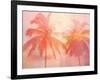 Palm Breeze II-Mia Jensen-Framed Art Print