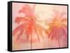 Palm Breeze II-Mia Jensen-Framed Stretched Canvas