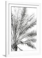 Palm Breeze Noir-Irene Suchocki-Framed Giclee Print