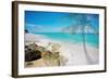 Palm By The Rocks-Susan Bryant-Framed Photo