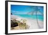 Palm By The Rocks-Susan Bryant-Framed Photo