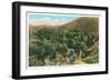 Palm Canyon, California-null-Framed Premium Giclee Print