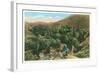 Palm Canyon, California-null-Framed Art Print