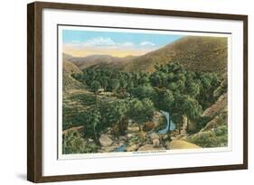 Palm Canyon, California-null-Framed Art Print