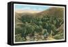 Palm Canyon, California-null-Framed Stretched Canvas