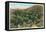 Palm Canyon, California-null-Framed Stretched Canvas