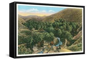 Palm Canyon, California-null-Framed Stretched Canvas