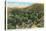 Palm Canyon, California-null-Stretched Canvas