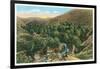 Palm Canyon, California-null-Framed Art Print