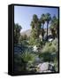 Palm Canyon, Palm Springs, California, USA-Ruth Tomlinson-Framed Stretched Canvas