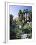 Palm Canyon, Palm Springs, California, USA-Ruth Tomlinson-Framed Photographic Print