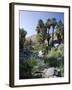 Palm Canyon, Palm Springs, California, USA-Ruth Tomlinson-Framed Photographic Print