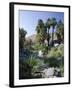 Palm Canyon, Palm Springs, California, USA-Ruth Tomlinson-Framed Photographic Print