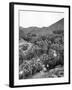 Palm Canyon-null-Framed Photographic Print