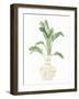 Palm Chinoiserie I Sage-Danhui Nai-Framed Art Print