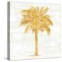 Palm Coast II On White-Sue Schlabach-Stretched Canvas