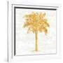 Palm Coast II On White-Sue Schlabach-Framed Art Print