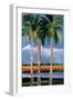 Palm Coast-Jane Slivka-Framed Art Print