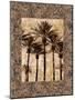 Palm Collage II-John Seba-Mounted Art Print