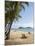 Palm Cove, Cairns, North Queensland, Australia-David Wall-Mounted Premium Photographic Print