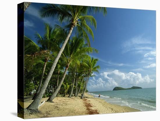 Palm Cove with Double Island Beyond, North of Cairns, Queensland, Australia, Pacific-Robert Francis-Stretched Canvas