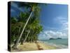 Palm Cove with Double Island Beyond, North of Cairns, Queensland, Australia, Pacific-Robert Francis-Stretched Canvas