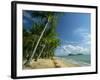 Palm Cove with Double Island Beyond, North of Cairns, Queensland, Australia, Pacific-Robert Francis-Framed Photographic Print