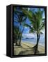 Palm Cove, with Double Island Beyond, North of Cairns, Queensland, Australia-Robert Francis-Framed Stretched Canvas