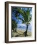 Palm Cove, with Double Island Beyond, North of Cairns, Queensland, Australia-Robert Francis-Framed Photographic Print